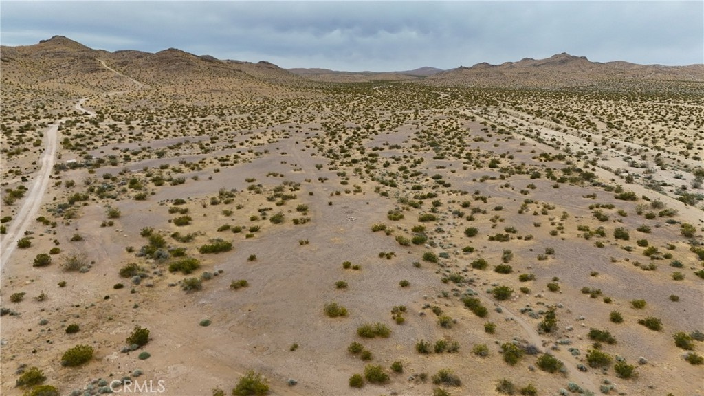 725 Desert Flower Road Property Photo 6