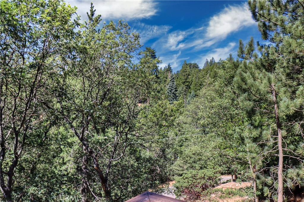 177 Craghill Property Photo 27