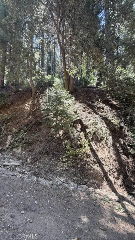 34207243 Mojave River Rd. Property Photo 3