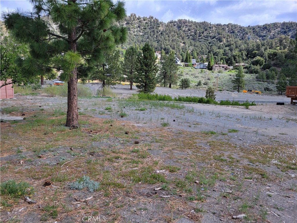 0 Spruce Property Photo 6