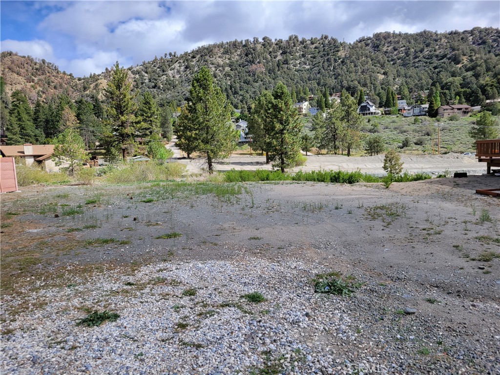 0 Spruce Property Photo 8