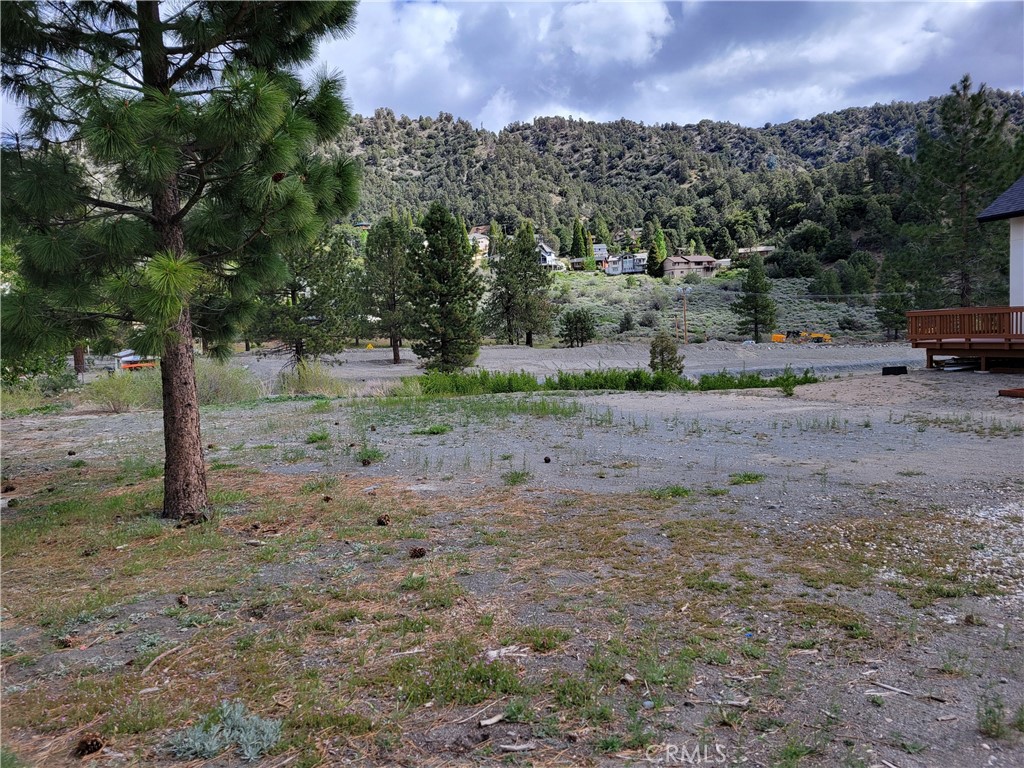 0 Spruce Property Photo 9