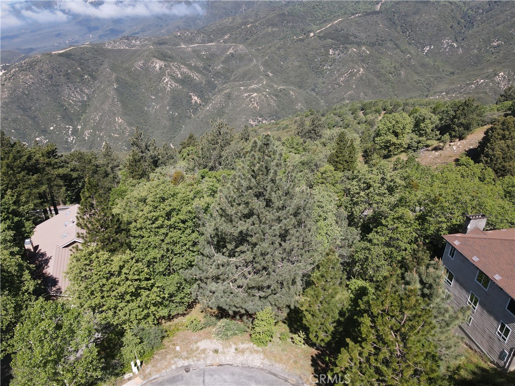 30029 Enchanted Property Photo 6