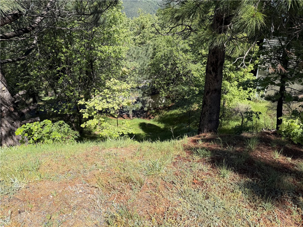 30029 Enchanted Property Photo 7