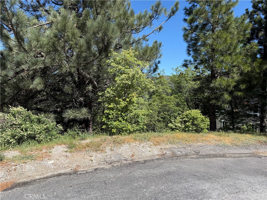 30029 Enchanted Property Photo 8