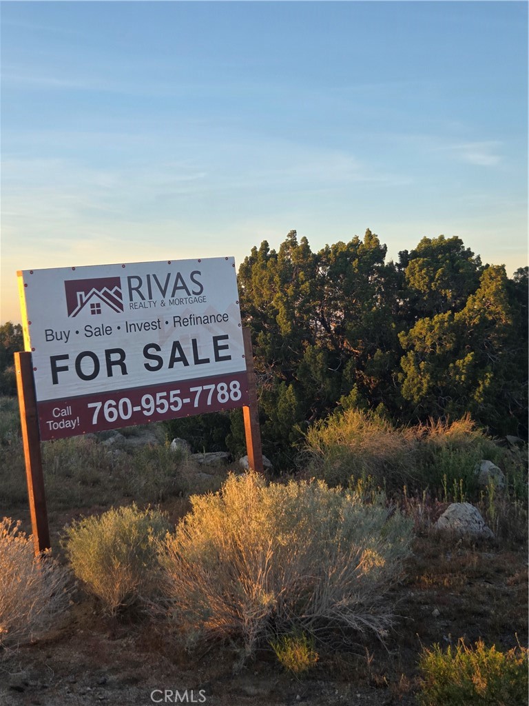 0 Hwy 138 Property Photo 2