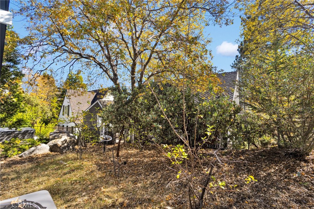 28919 Palisades Property Photo 51