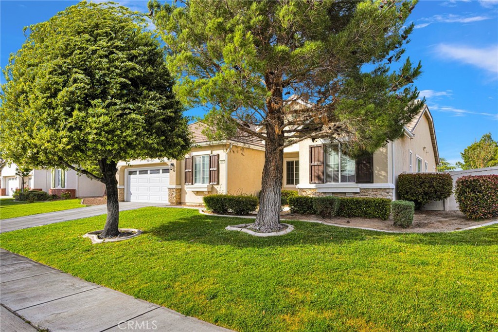 10854 Aster Property Photo 5