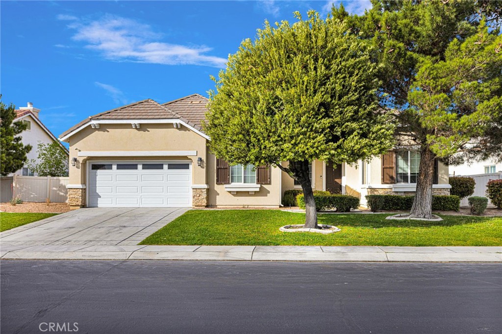 10854 Aster Property Photo 14