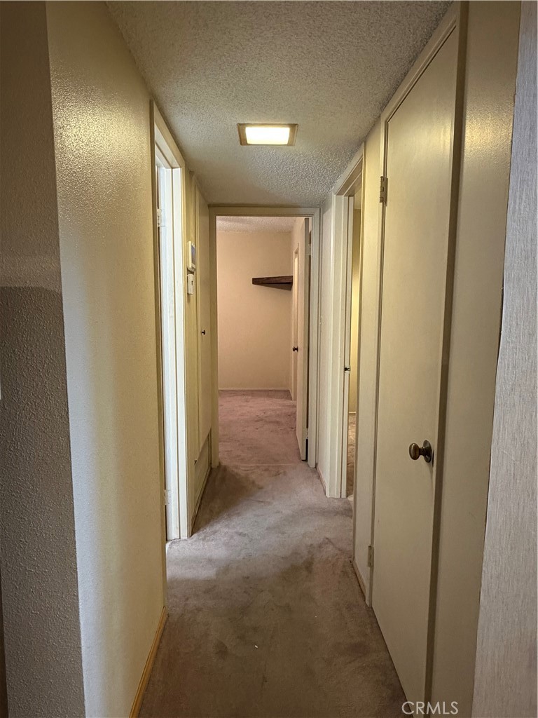 941 Senita Property Photo 31