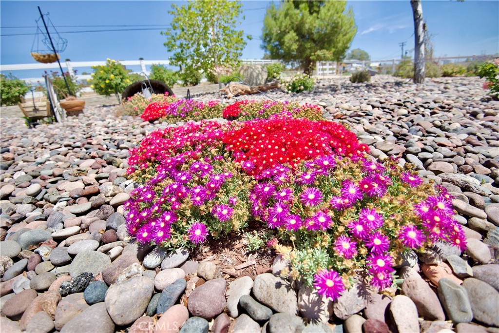 22585 Ocotillo Property Photo 28