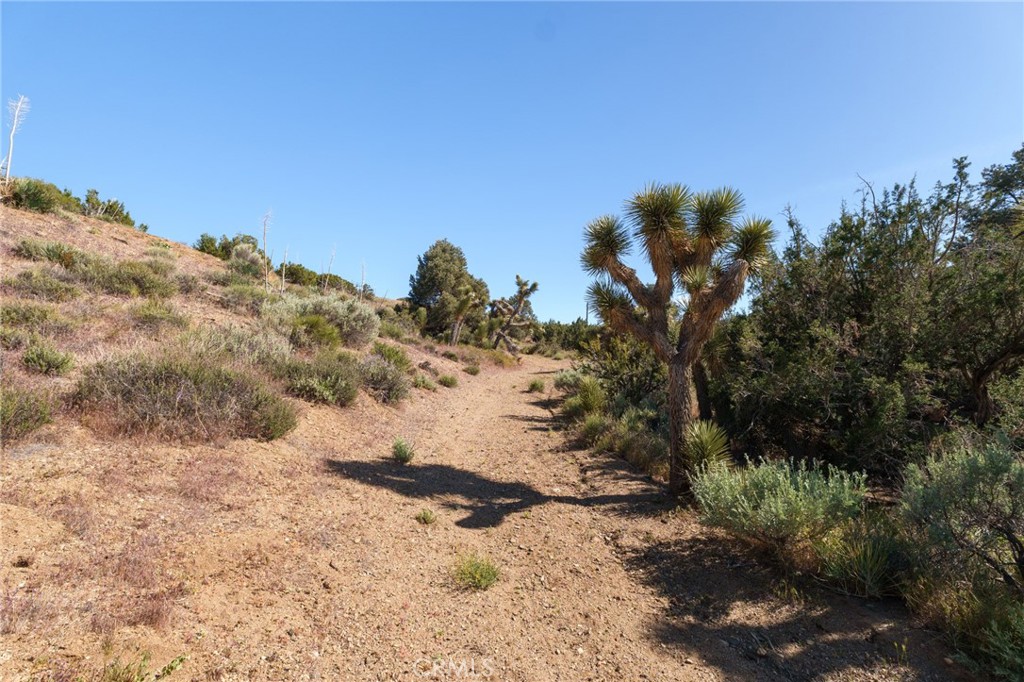 0 Silver Rock Property Photo 5