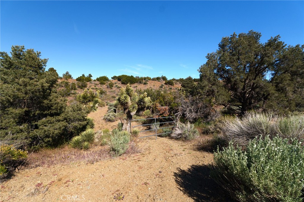 0 Silver Rock Property Photo 9