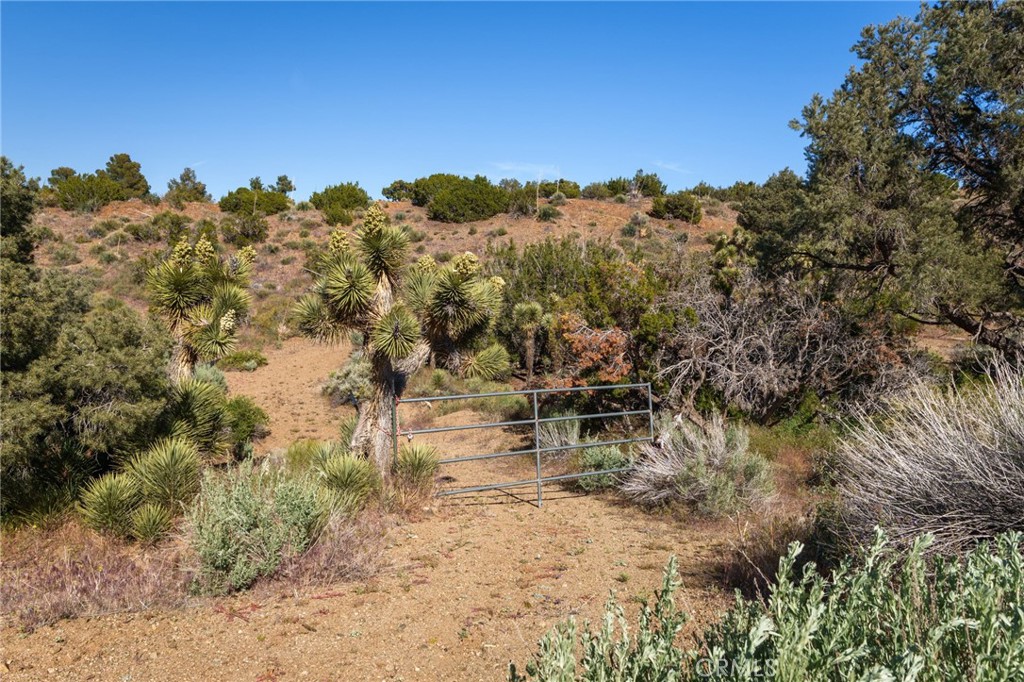 0 Silver Rock Property Photo 22