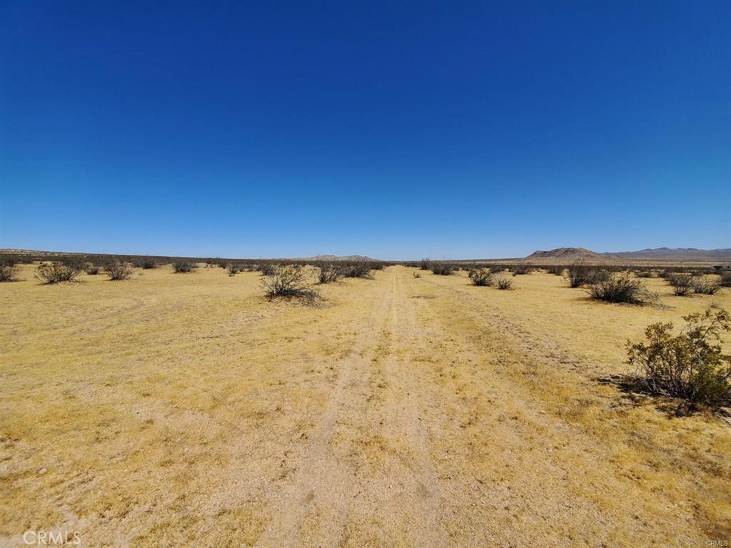602 Mimosa Property Photo 4