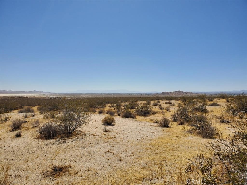 602 Mimosa Property Photo 8