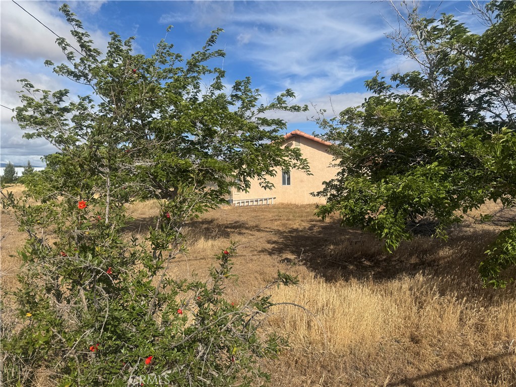 9995 Smoke Tree Property Photo 6