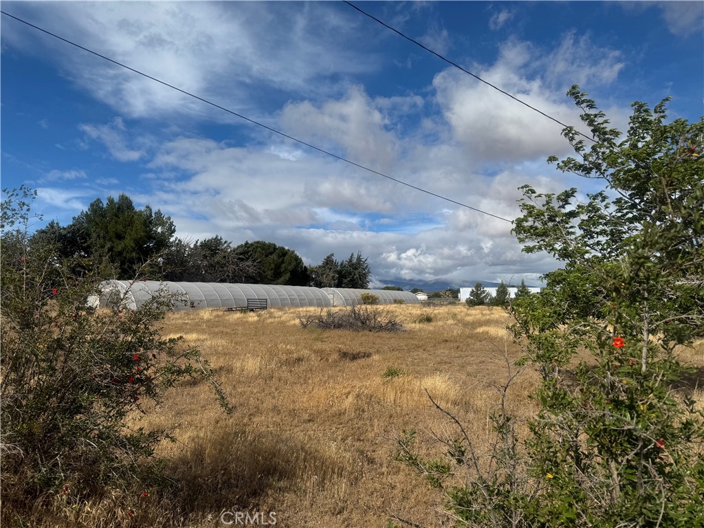 9995 Smoke Tree Property Photo 7