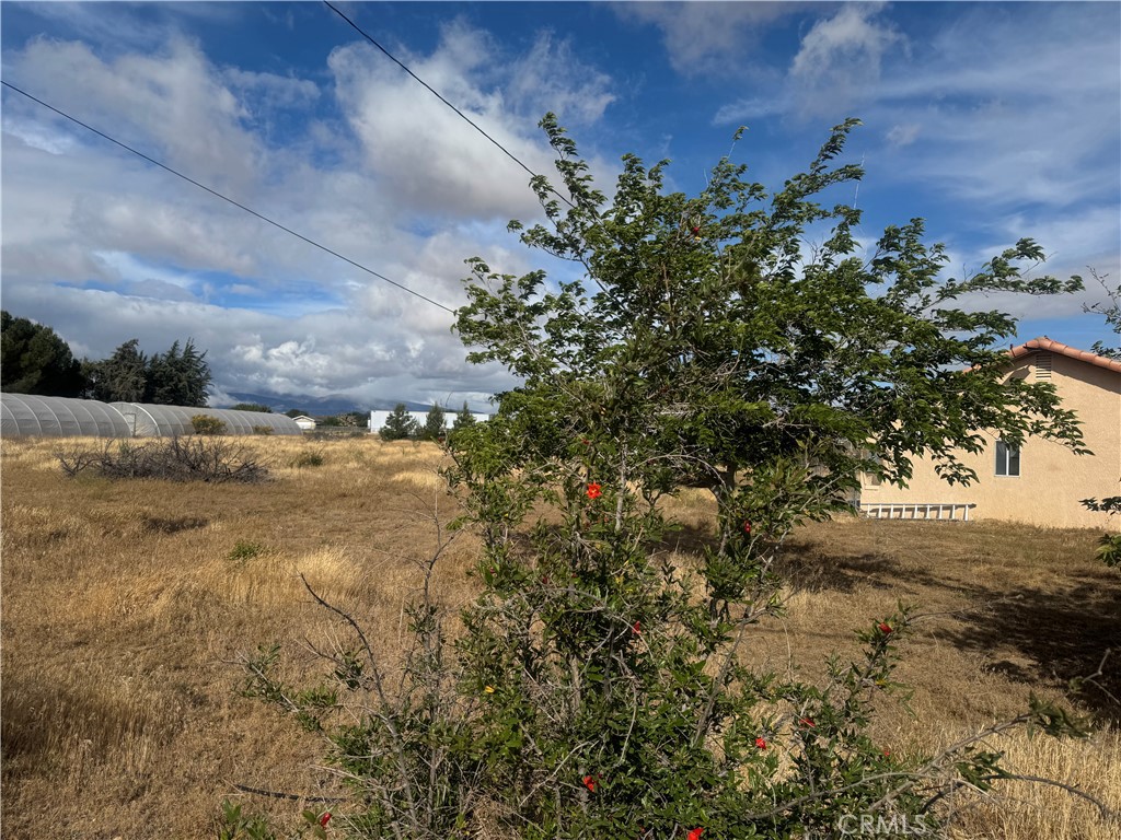 9995 Smoke Tree Property Photo 37