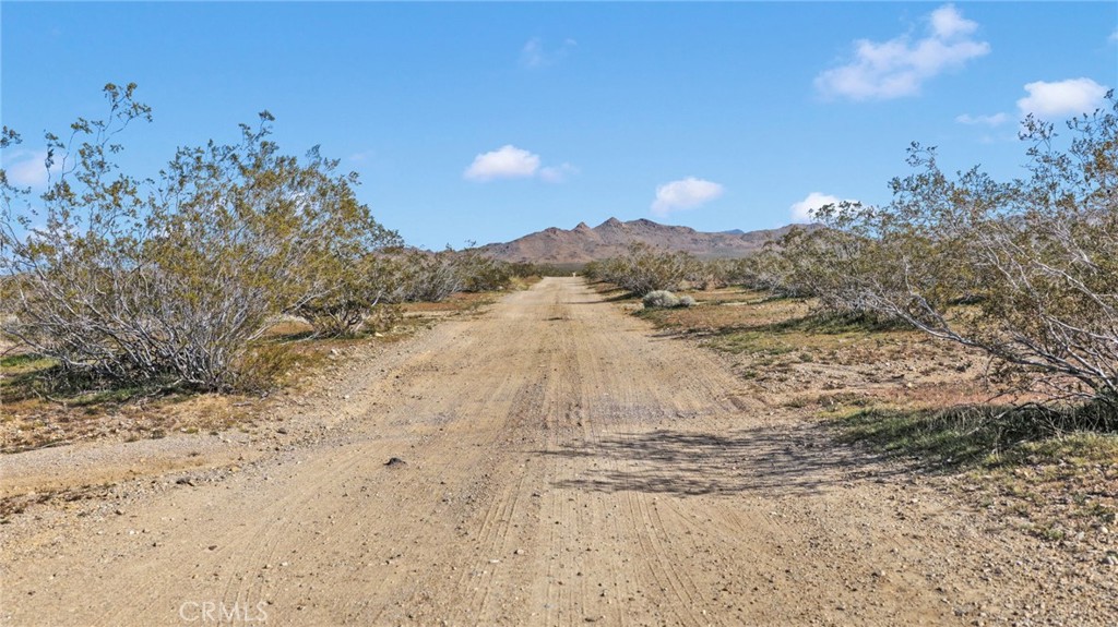 11 Highway 247/brack Rd Property Photo 1