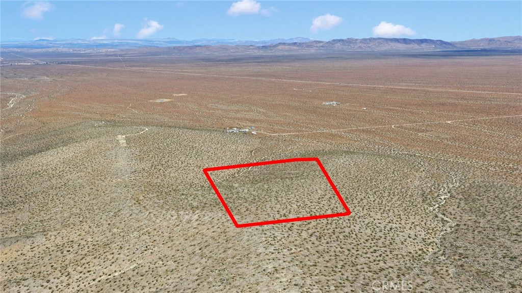 11 Highway 247/brack Rd Property Photo 5