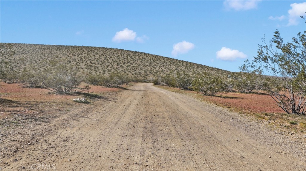 11 Highway 247/brack Rd Property Photo 7
