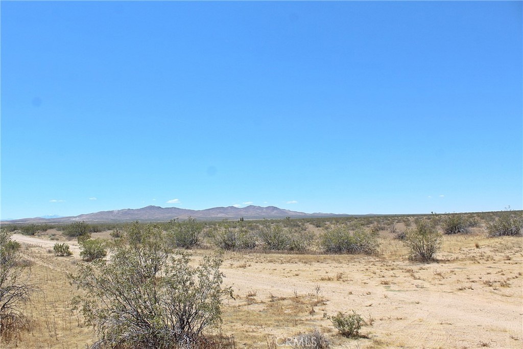1111 Apache Avenue Property Photo 5