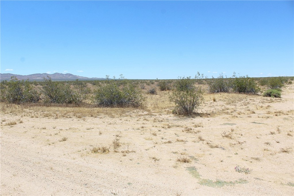 1111 Apache Avenue Property Photo 6
