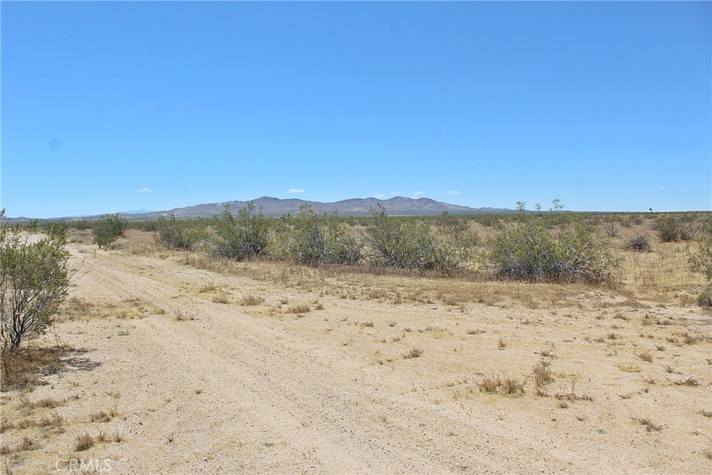 1111 Apache Avenue Property Photo 7