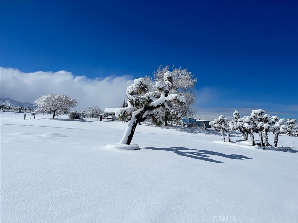 11025 El Esteban Property Photo 41