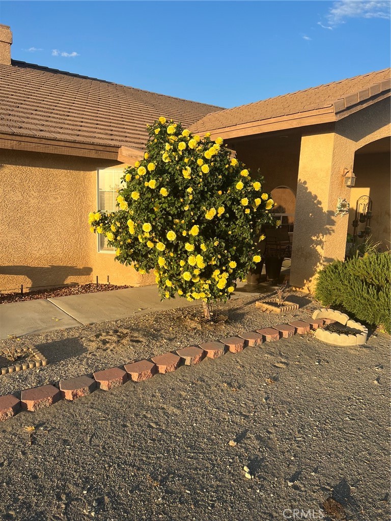 11025 El Esteban Property Photo 42