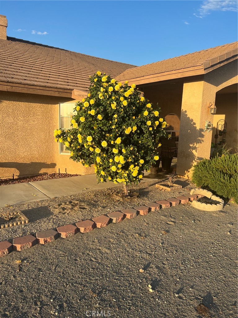 11025 El Esteban Property Photo 42