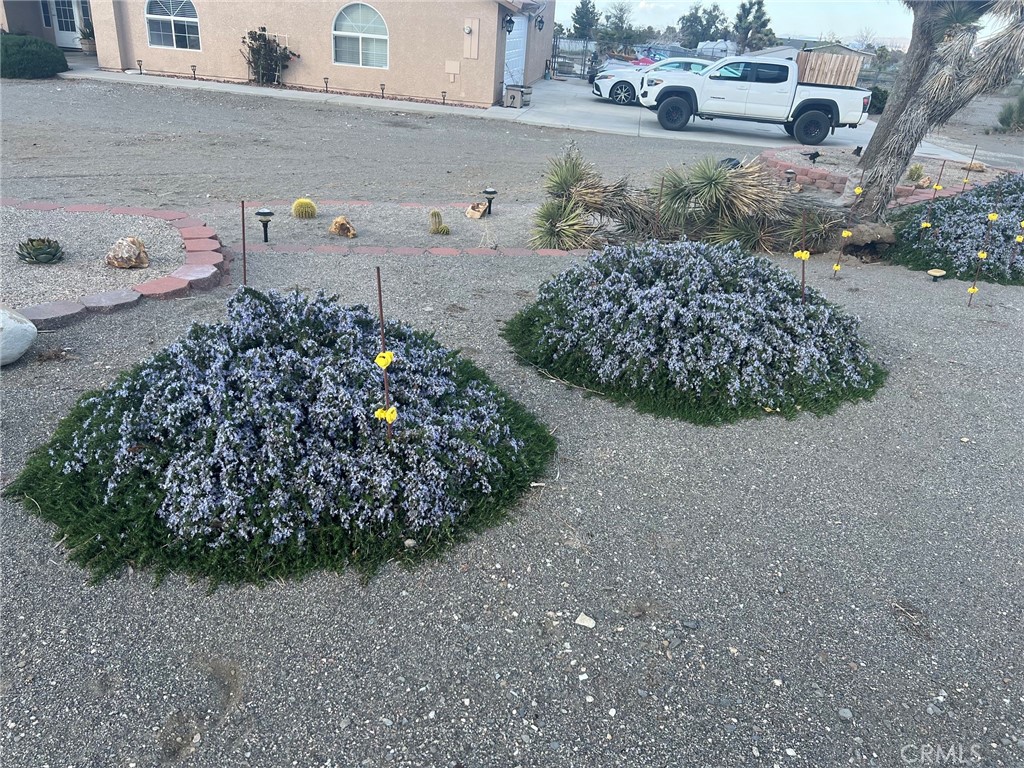 11025 El Esteban Property Photo 43