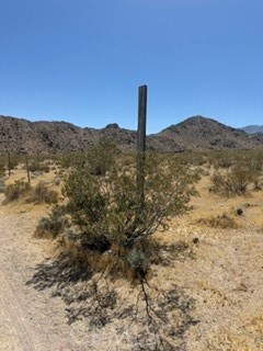 0 Mountain View Property Photo 1