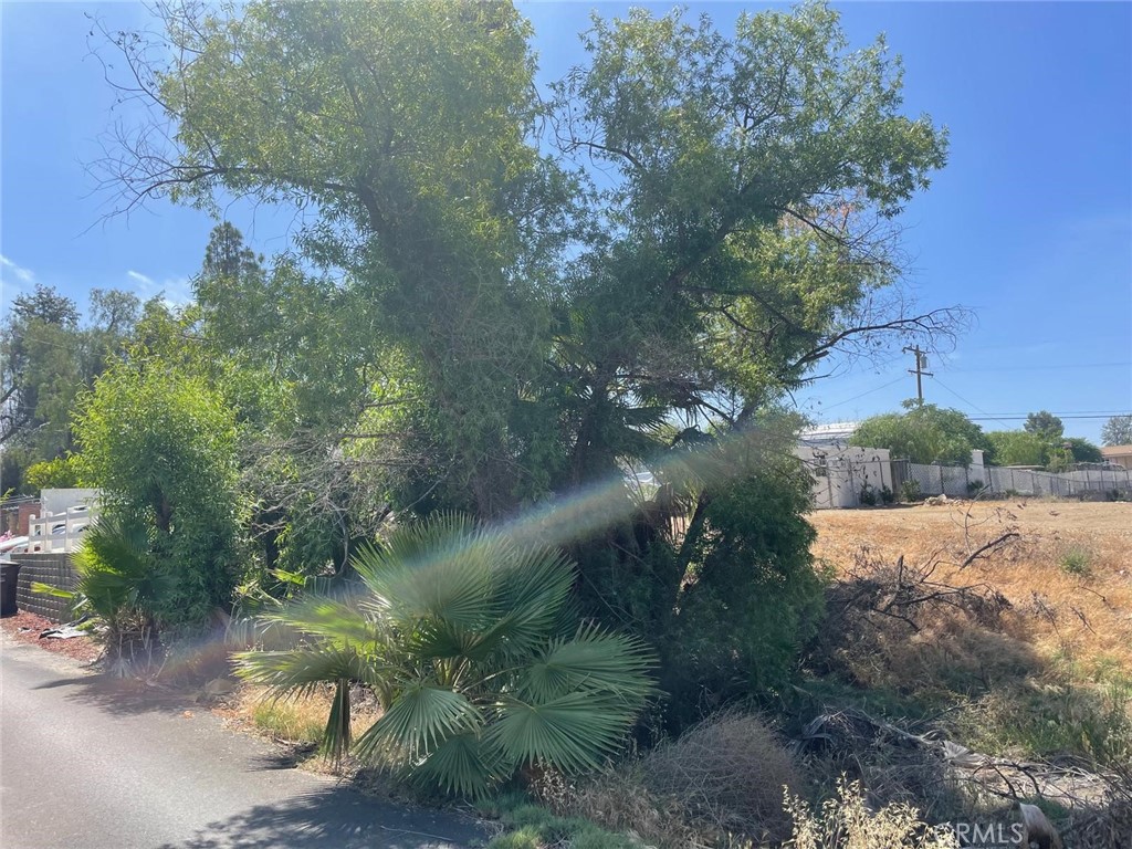 1 Cassandra Drive Property Photo 3