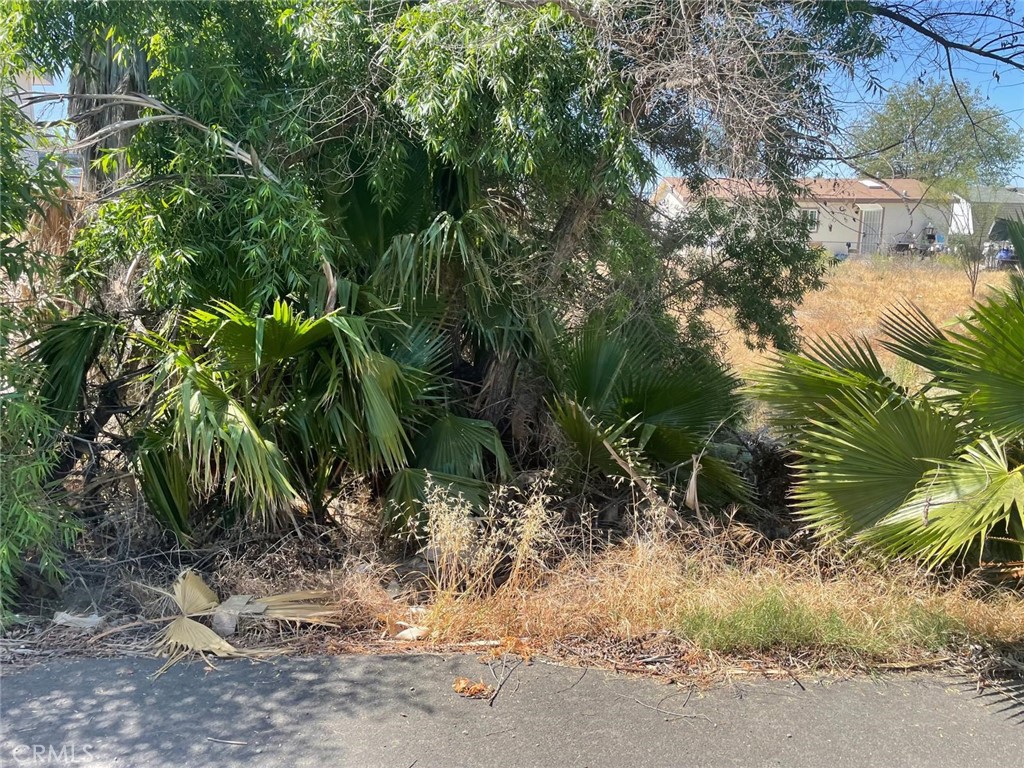 1 Cassandra Drive Property Photo 4