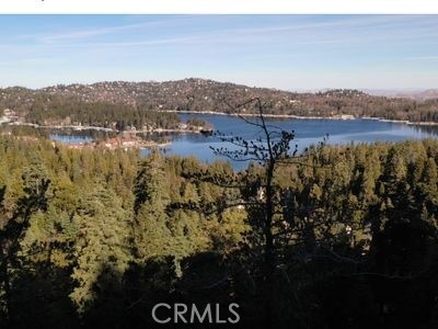 1 Skyforest Property Photo 1