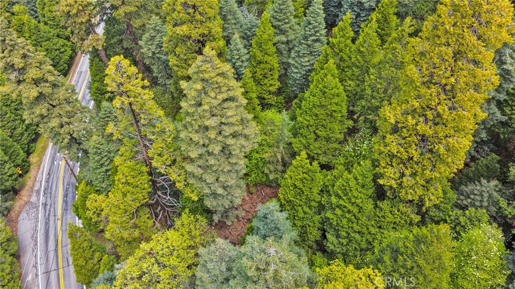 1 Skyforest Property Photo 4