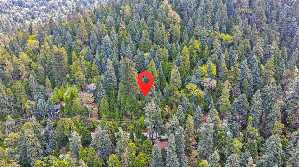 1 Skyforest Property Photo 9