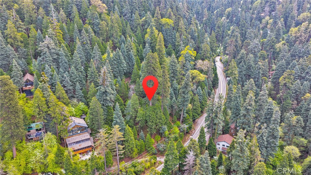 1 Skyforest Property Photo 10
