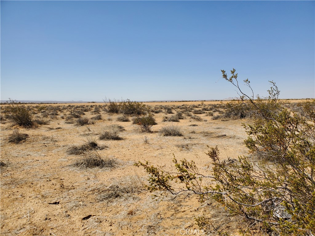 2 Ac Dover Avenue Property Photo 2