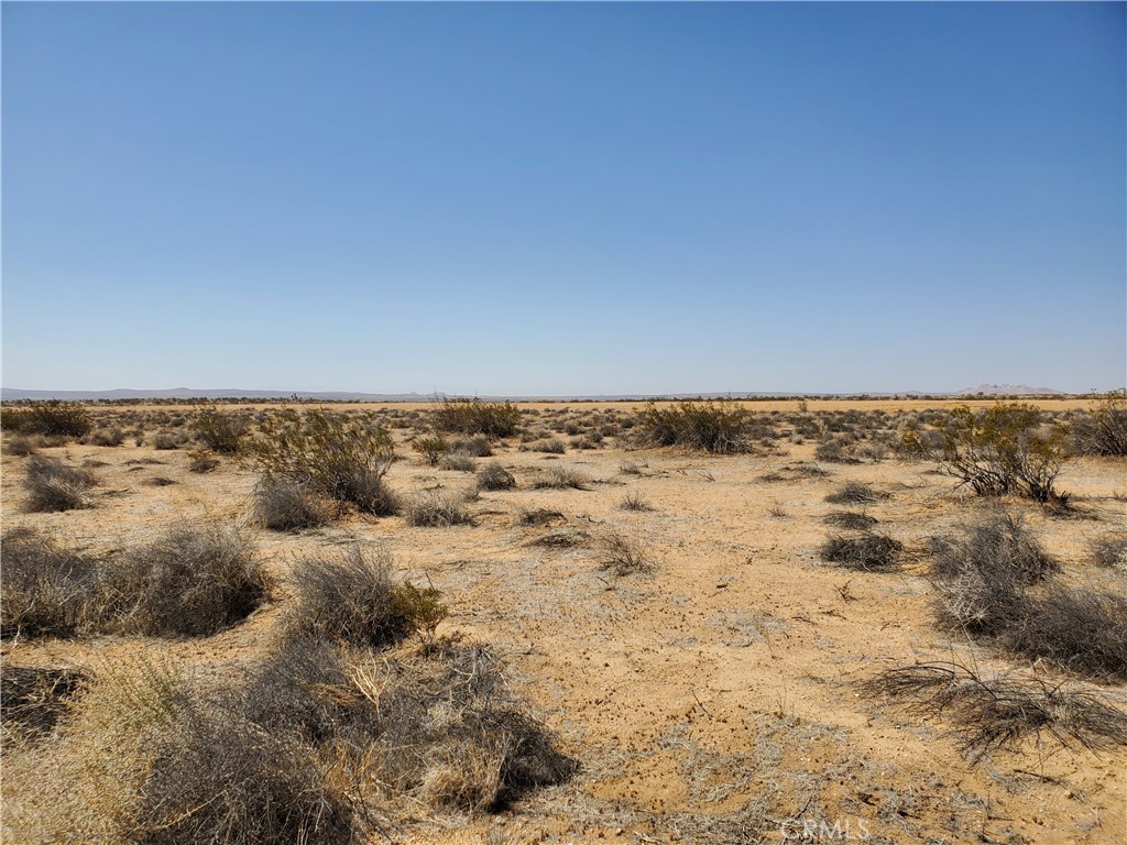 2 Ac Dover Avenue Property Photo 3