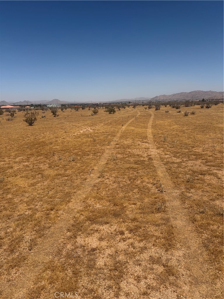23421 Colony Road Property Photo 11