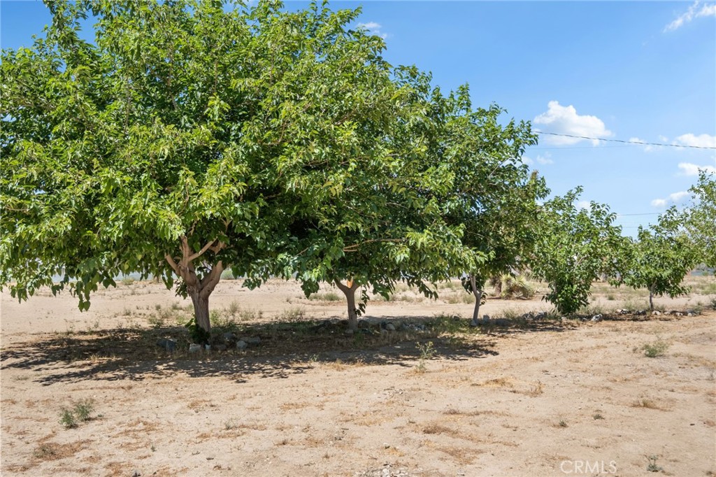 10925 Buttonwood Property Photo 39
