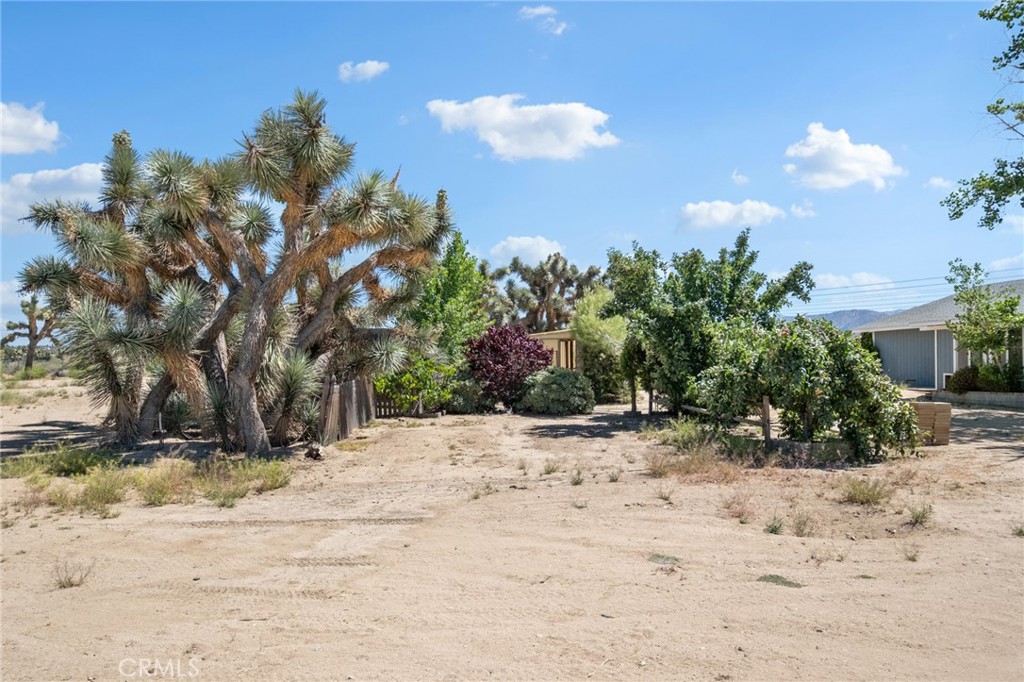 10925 Buttonwood Property Photo 40