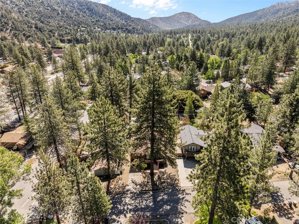 6285 Conifer Property Photo 33