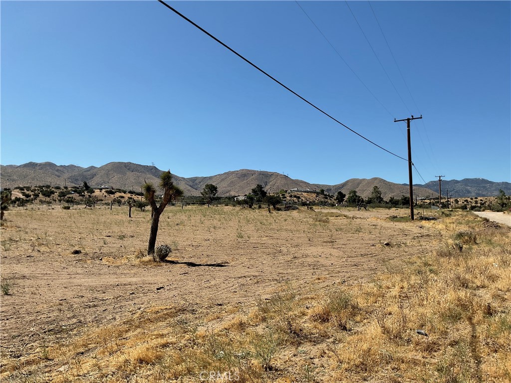 35 Juniper Property Photo 5