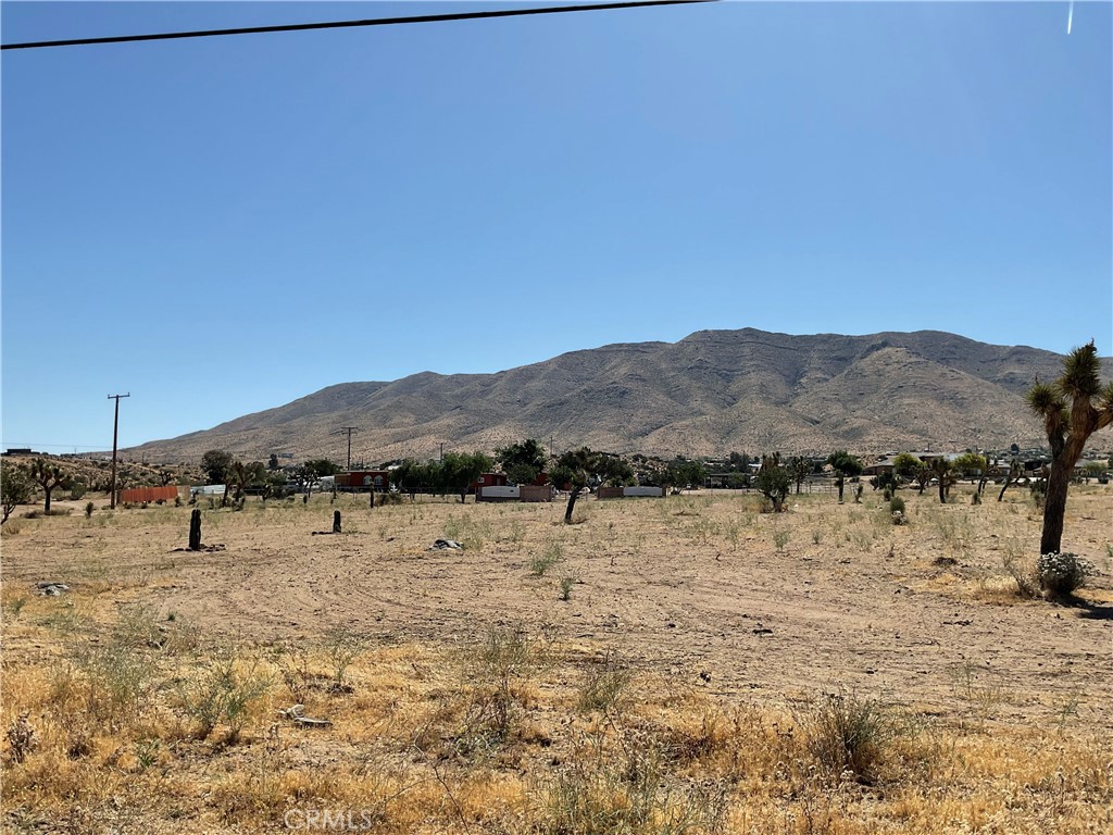 35 Juniper Property Photo 8