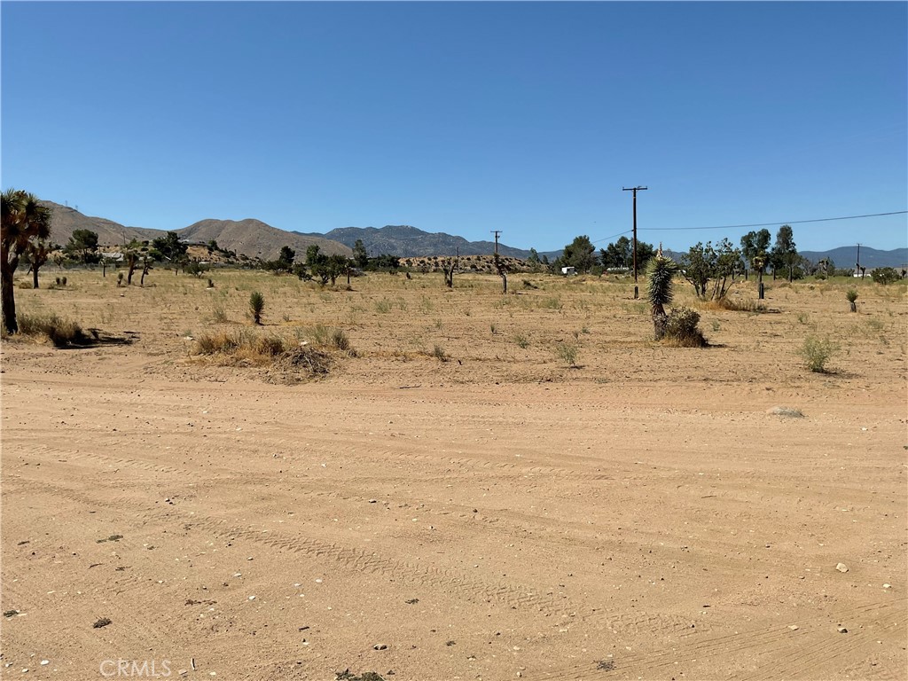 35 Juniper Property Photo 11