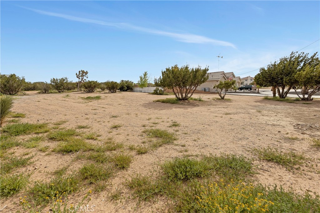 12771 Cedar Property Photo 44